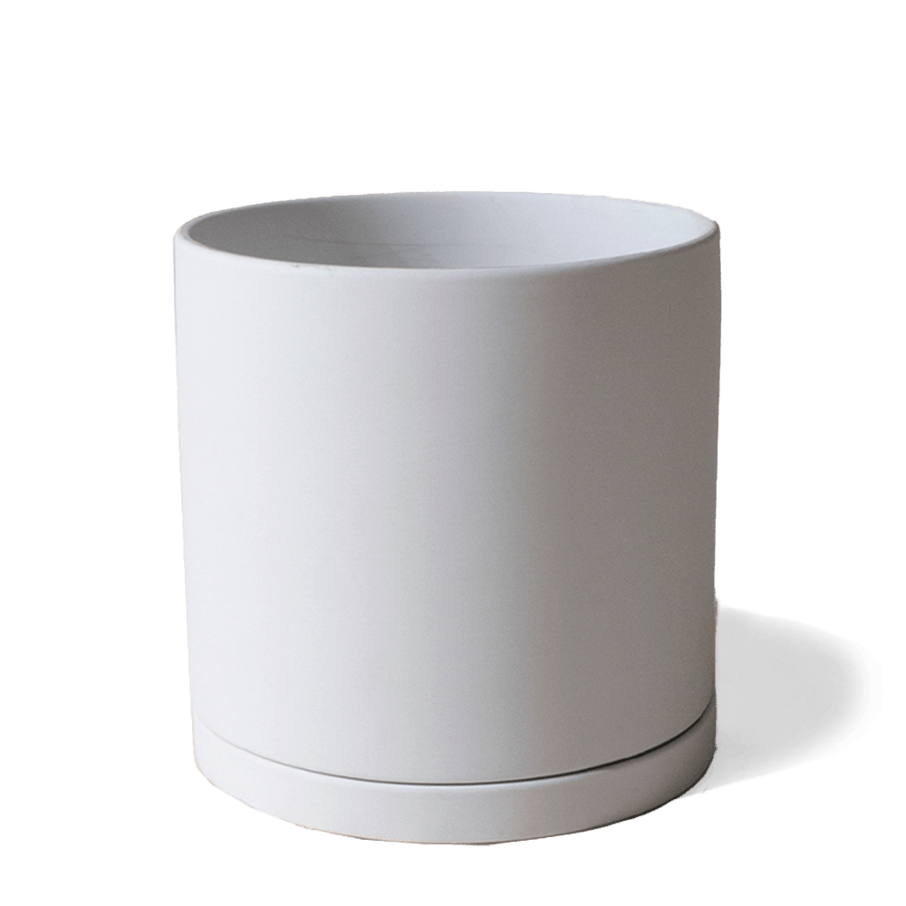 Dojo Porcelain Modern Indoor Plant Pot With Saucer Sets - Chive UK Wholesale