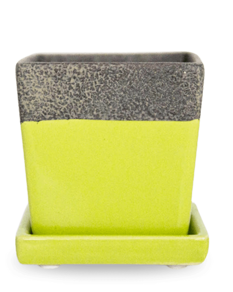 Duo Ceramic Planter With Drainage Hole And Saucer - Chive UK Wholesale