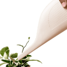 Duenas Ceramic Water Jug Kit - Chive UK Wholesale