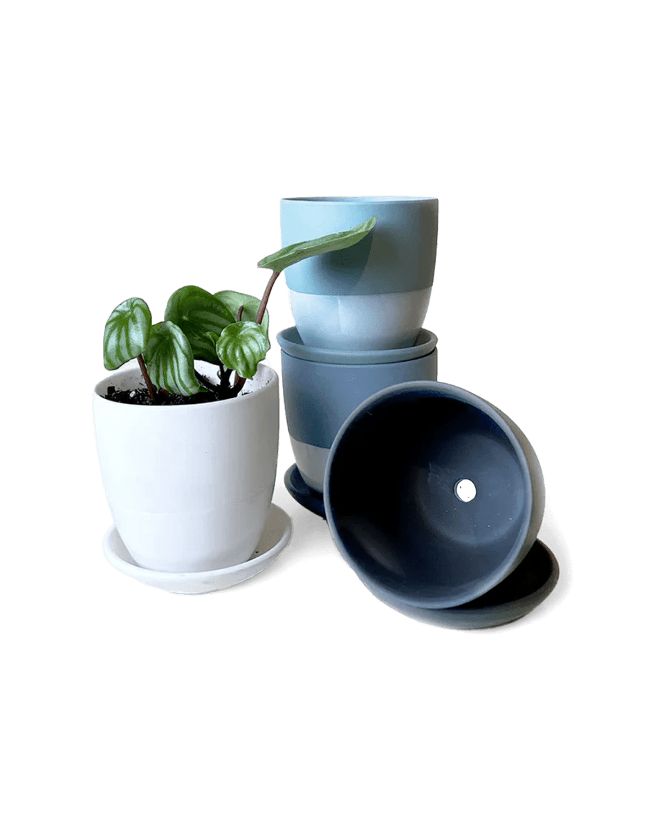 Dyad Porcelain Modern Indoor Plant Pot With Saucer Kits - Chive UK Wholesale