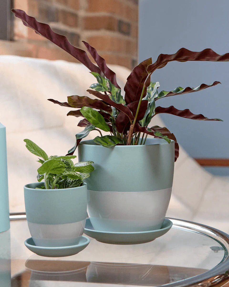 Dyad Porcelain Modern Indoor Plant Pot With Saucer Kits - Chive UK Wholesale