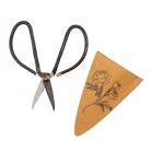 Edward Clippers Ikebana Pruning Scissors - Chive UK Wholesale