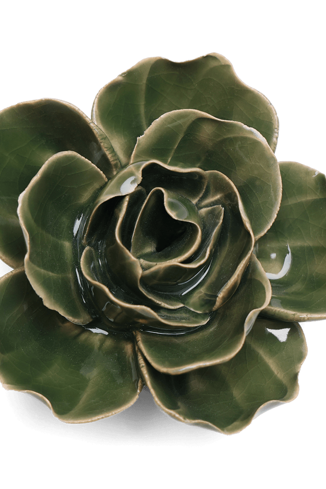English Garden Curated Collection 24 - Chive UK Wholesale