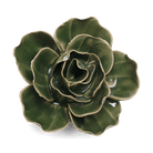 English Garden Curated Collection 24 - Chive UK Wholesale