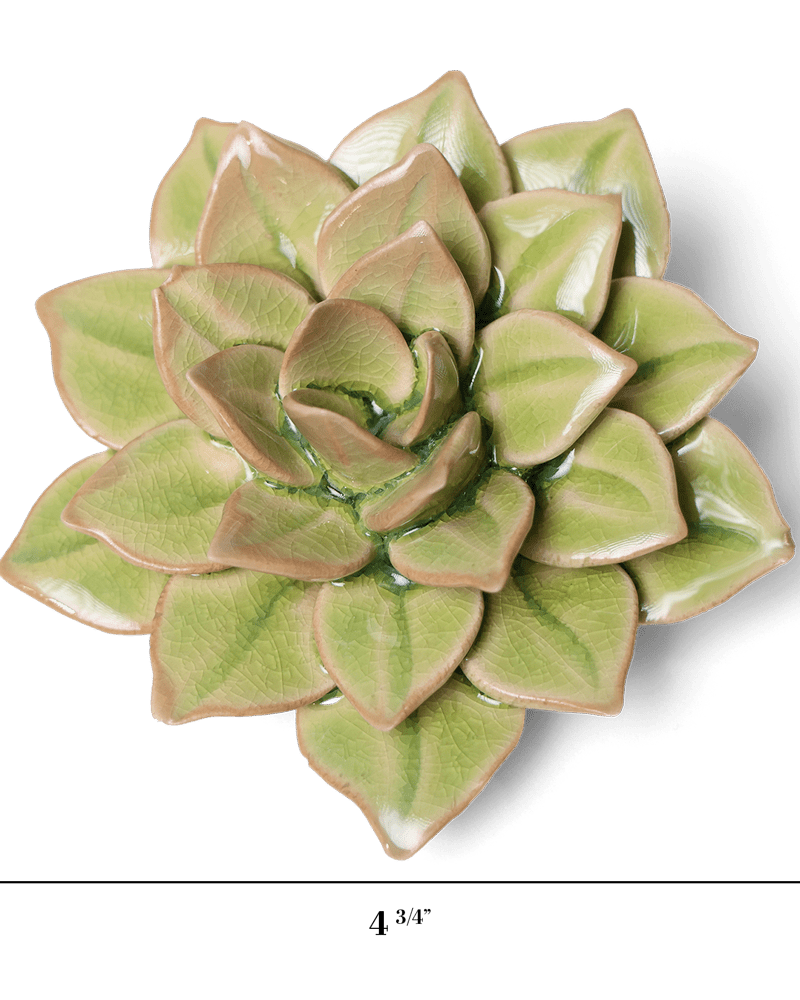 English Garden Ceramic Flower Green Medium Succulent - Chive UK Wholesale