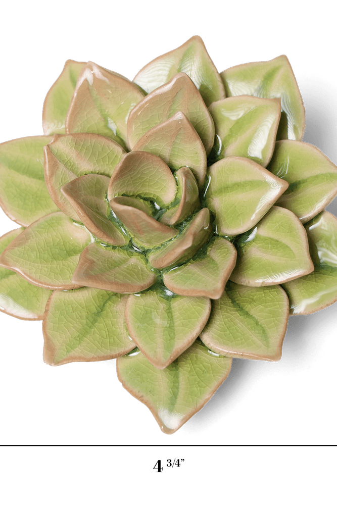 English Garden Ceramic Flower Green Medium Succulent - Chive UK Wholesale