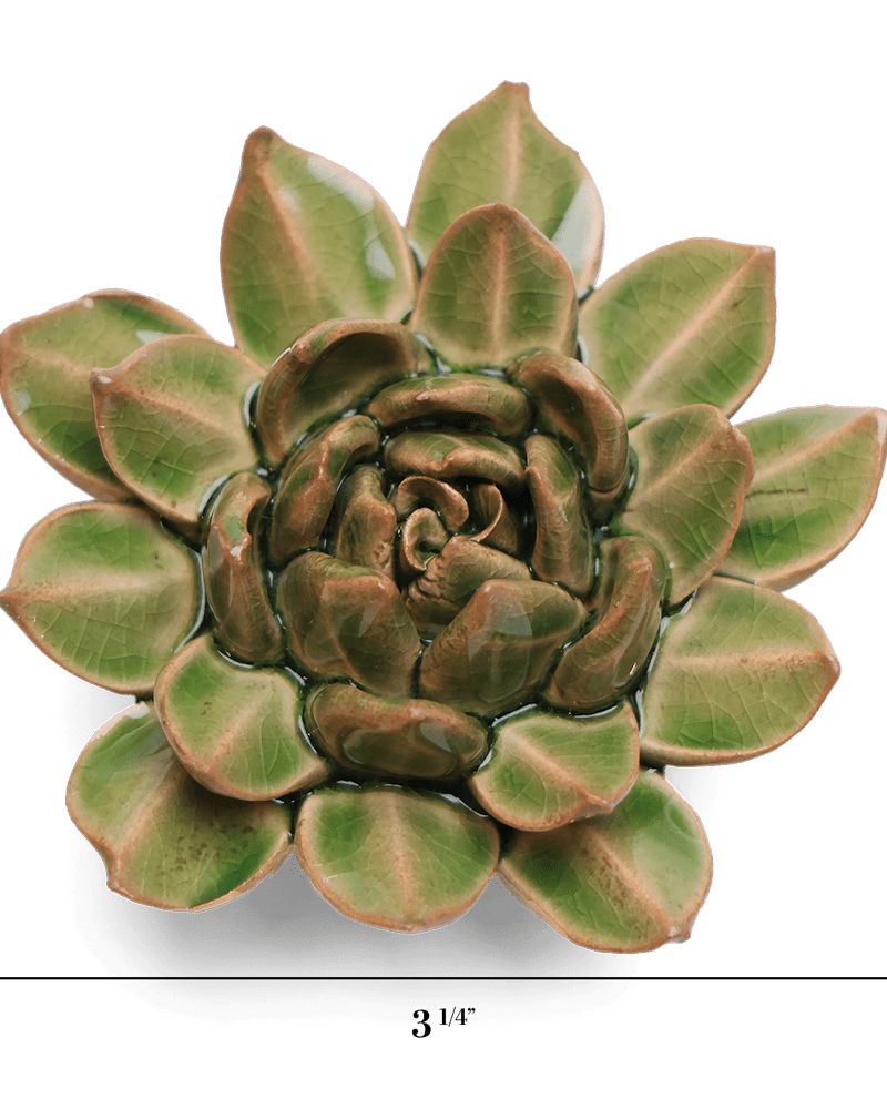 English Garden Ceramic Flower Green Small Succulent - Chive UK Wholesale