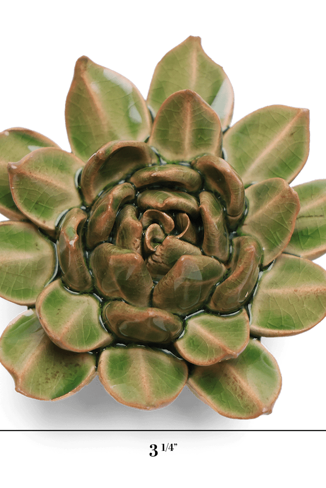 English Garden Ceramic Flower Green Small Succulent - Chive UK Wholesale