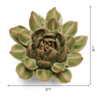 English Garden Ceramic Flower Green Small Succulent - Chive UK Wholesale