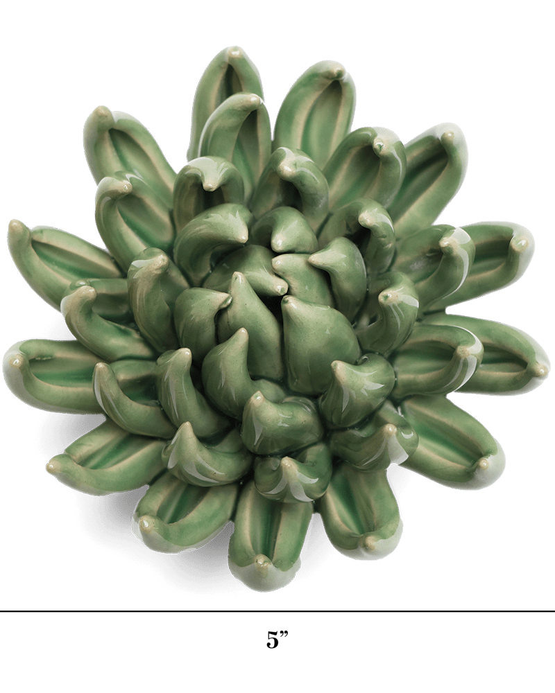 English Garden Ceramic Flower Green Large Succulent - Chive UK Wholesale