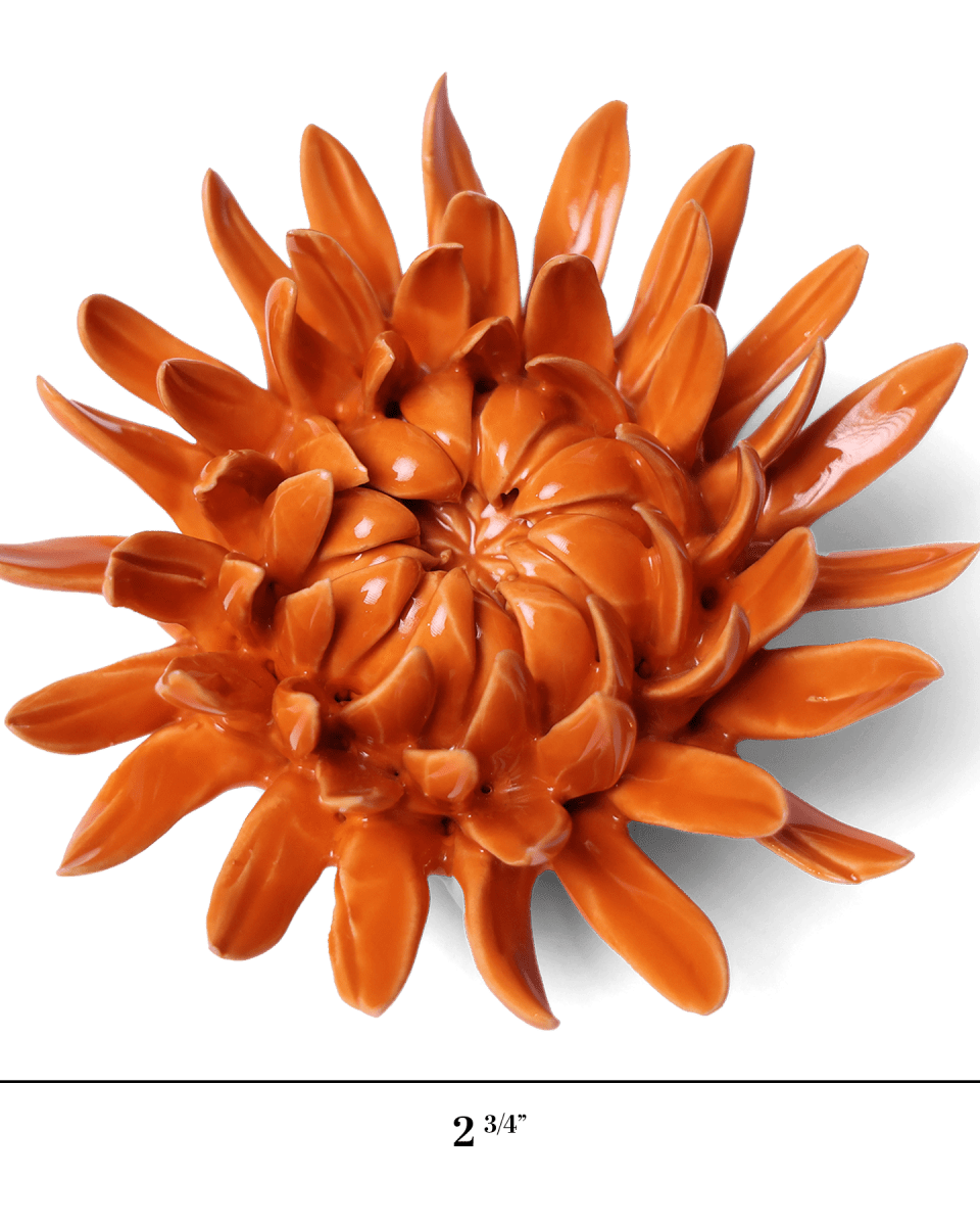 English Garden Orange Sarah Mum - Chive UK Wholesale