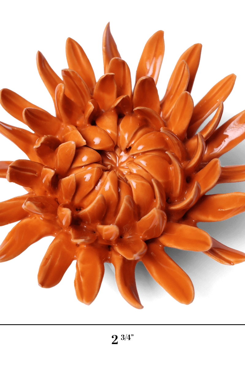 English Garden Orange Sarah Mum - Chive UK Wholesale