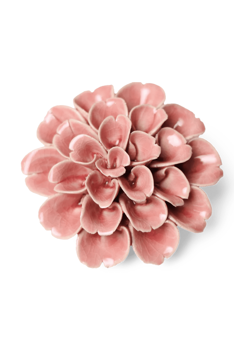 EG36 Champagne Pink Hydrangea - Chive UK Wholesale