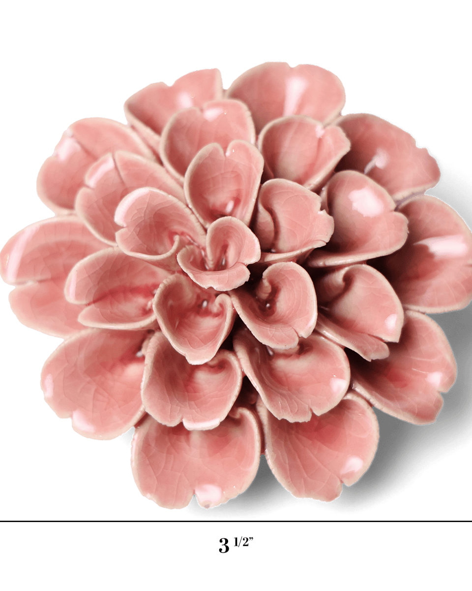English Garden Champagne Pink Hydrangea - Chive UK Wholesale