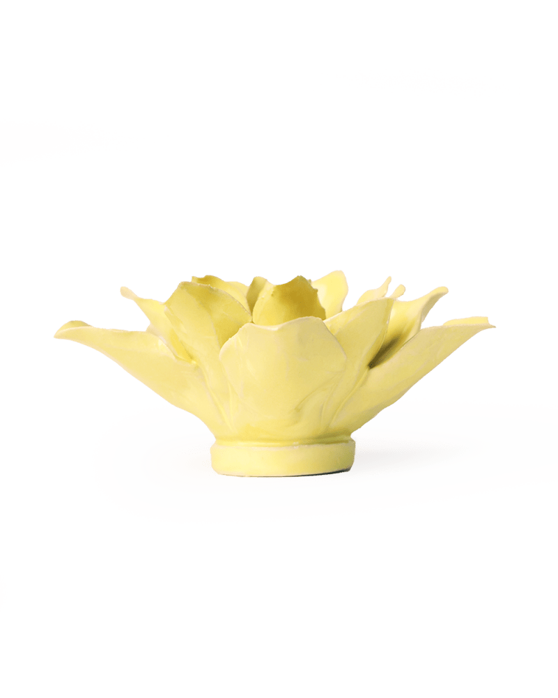 English Garden Lime Yellow Tiger Lily - Chive UK Wholesale