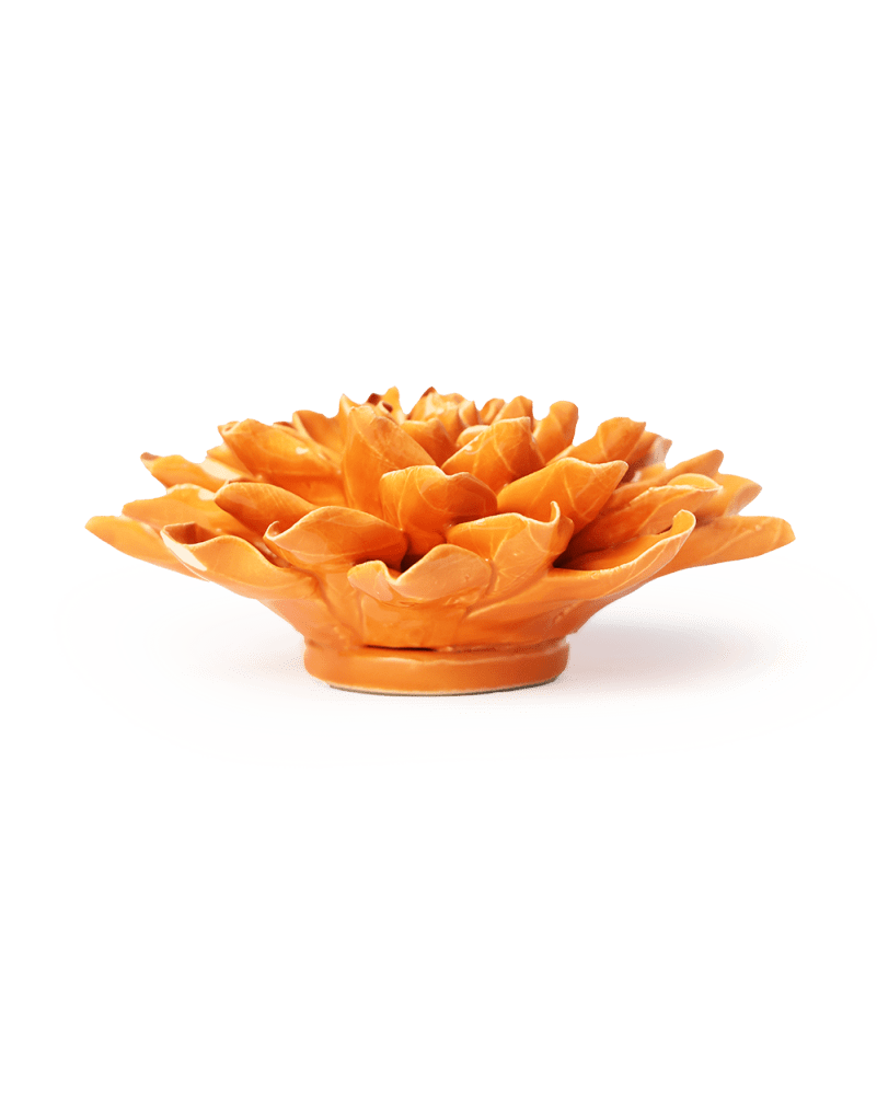 English Garden Orange Autumn Azalea - Chive UK Wholesale