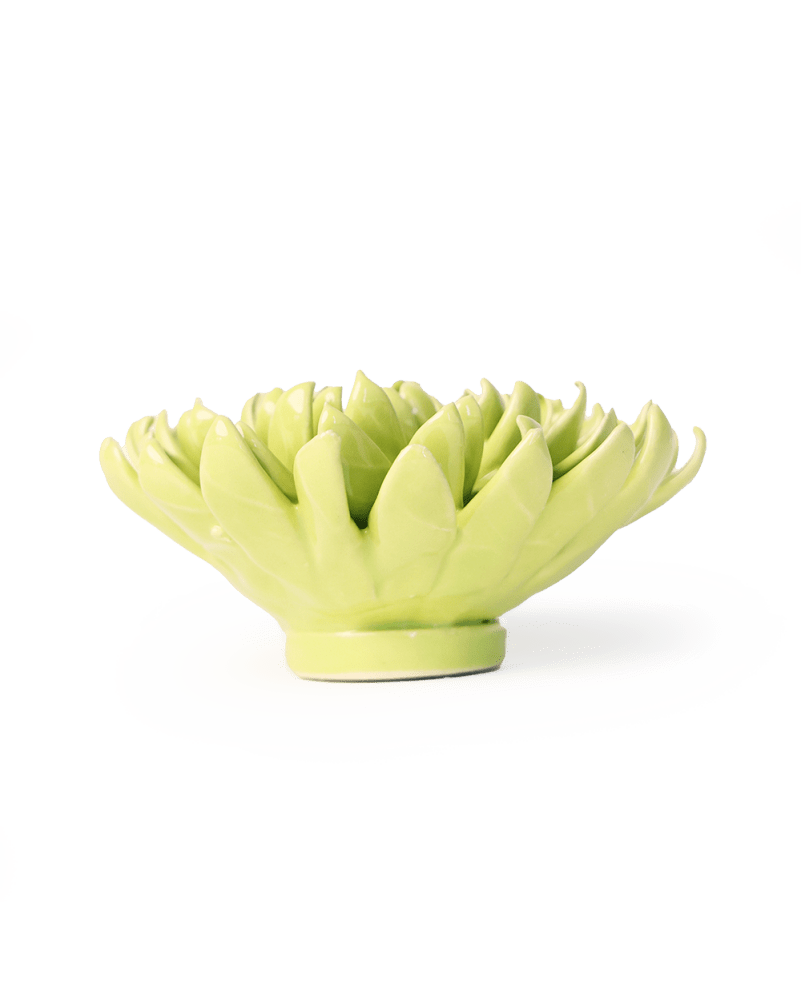 English Garden Yellow Green Pompom Mum - Chive UK Wholesale
