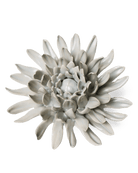 EG02 Panache Green Spider Mum - Chive UK Wholesale