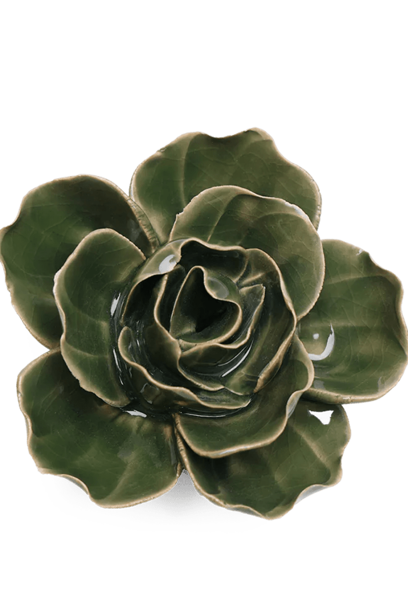 EG03 Fir Green Butterfly Ranunculus - Chive UK Wholesale