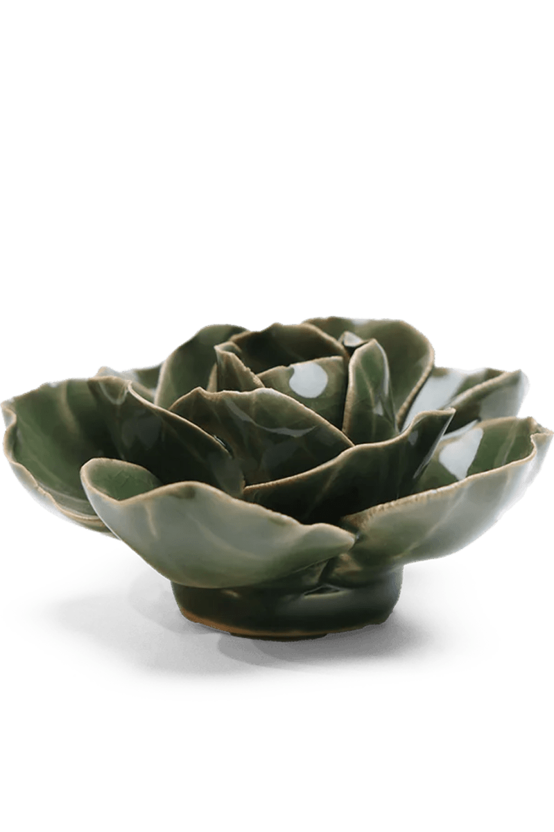 EG03 Fir Green Butterfly Ranunculus - Chive UK Wholesale