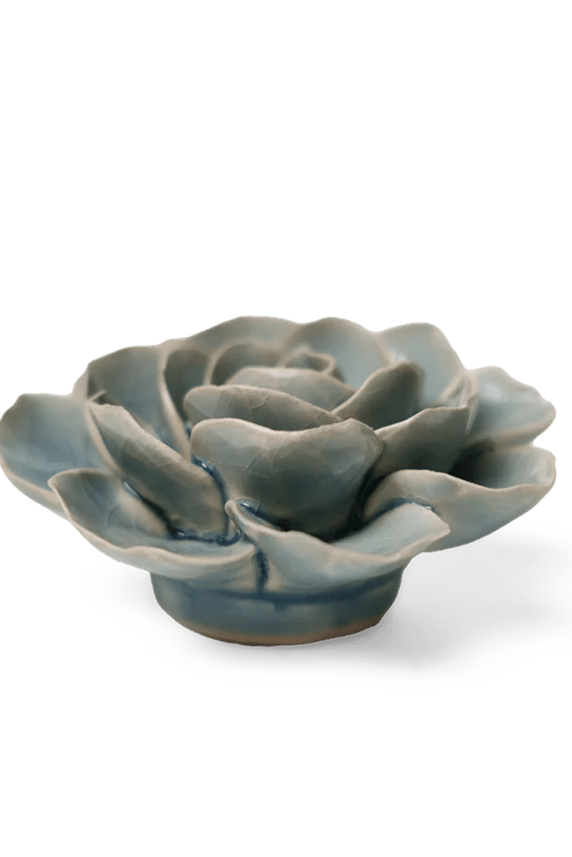EG04 Powder Blue Amandine Ranunculus - Chive UK Wholesale