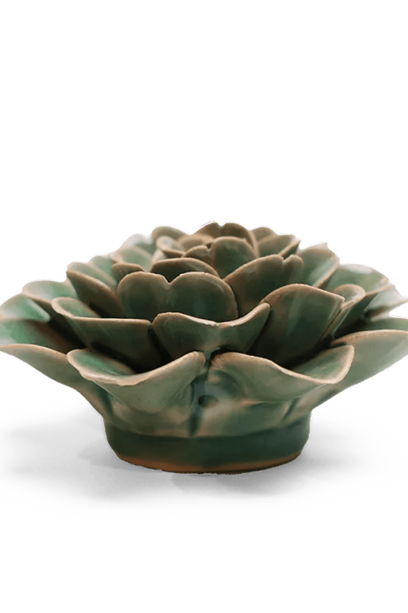 EG11 Jungle Green Tea Rose - Chive UK Wholesale