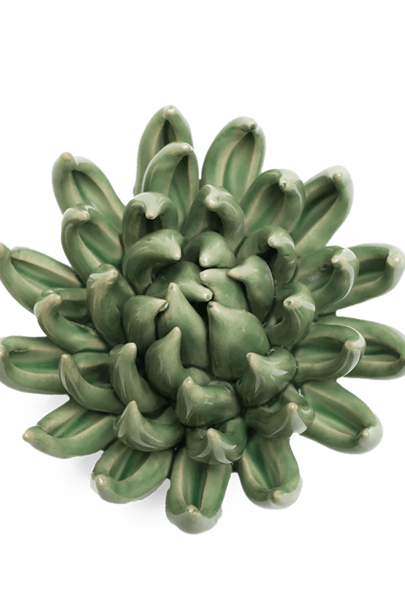 EG14 Jade Green Succulent - Chive UK Wholesale