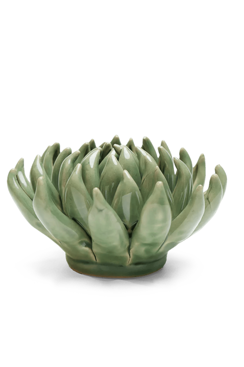 EG14 Jade Green Succulent - Chive UK Wholesale