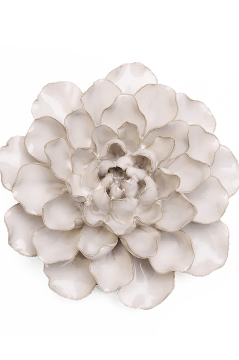 EG15 Ivory European Water Lily - Chive UK Wholesale