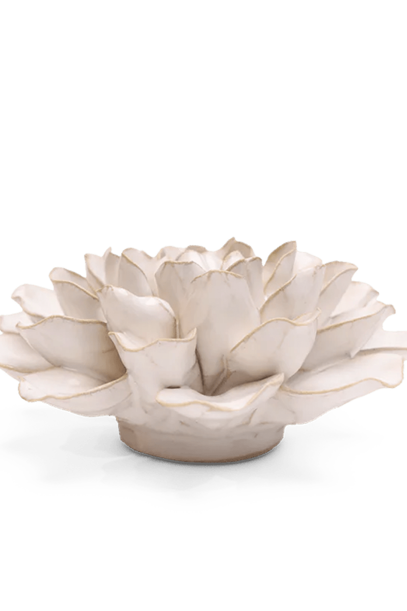 EG15 Ivory European Water Lily - Chive UK Wholesale