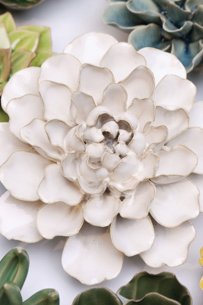 EG15 Ivory European Water Lily - Chive UK Wholesale