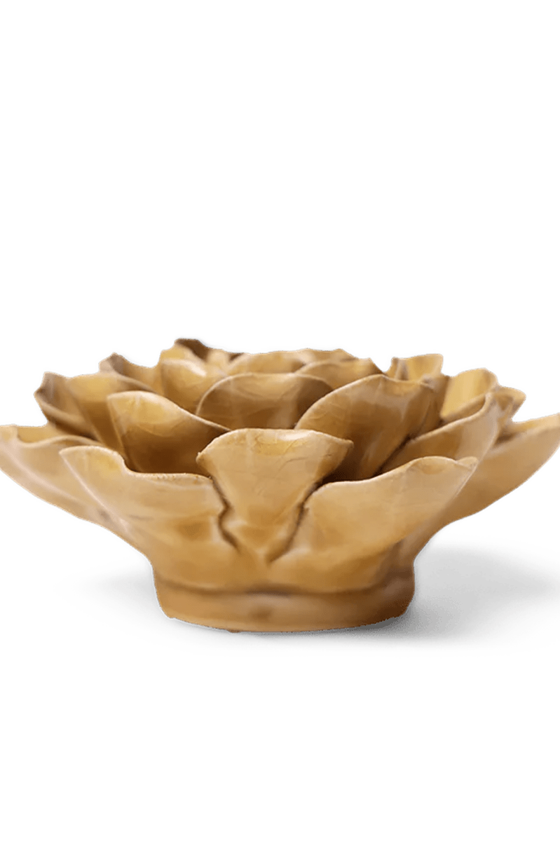 EG16 Caramel Charm Peony - Chive UK Wholesale
