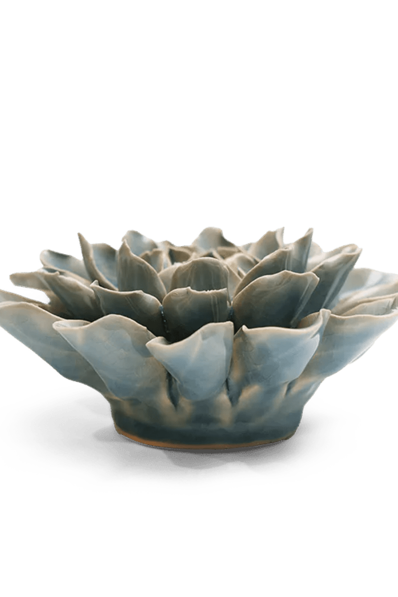 EG17 Powder Blue Aphrodite Dahlia - Chive UK Wholesale