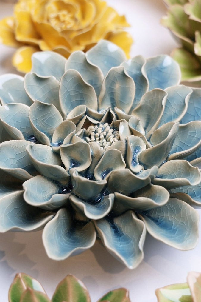 EG17 Powder Blue Aphrodite Dahlia - Chive UK Wholesale