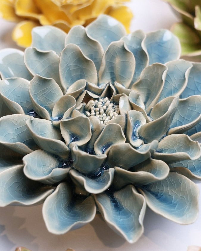 EG17 Powder Blue Aphrodite Dahlia - Chive UK Wholesale