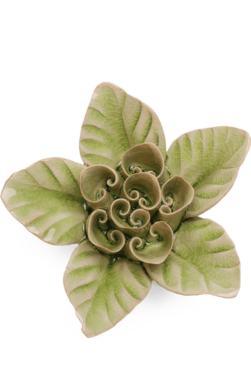 EG18 Peridot Green Maiden Lotus - Chive UK Wholesale