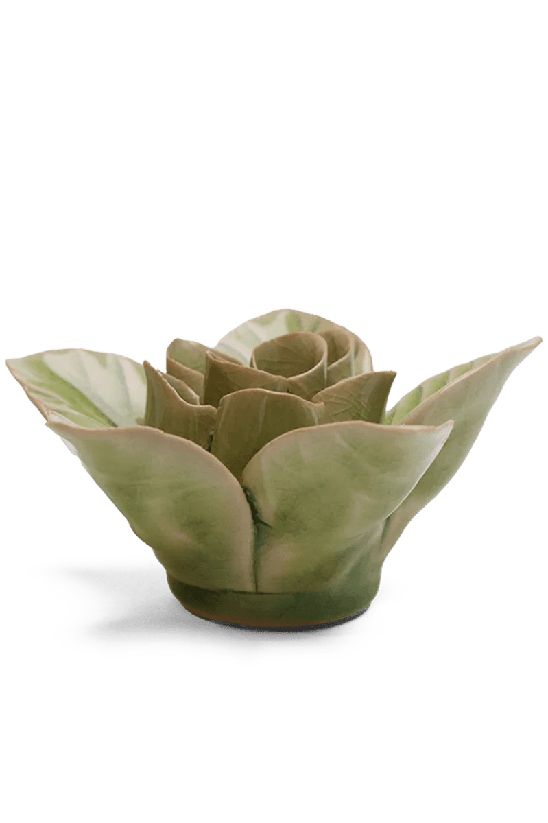 EG18 Peridot Green Maiden Lotus - Chive UK Wholesale