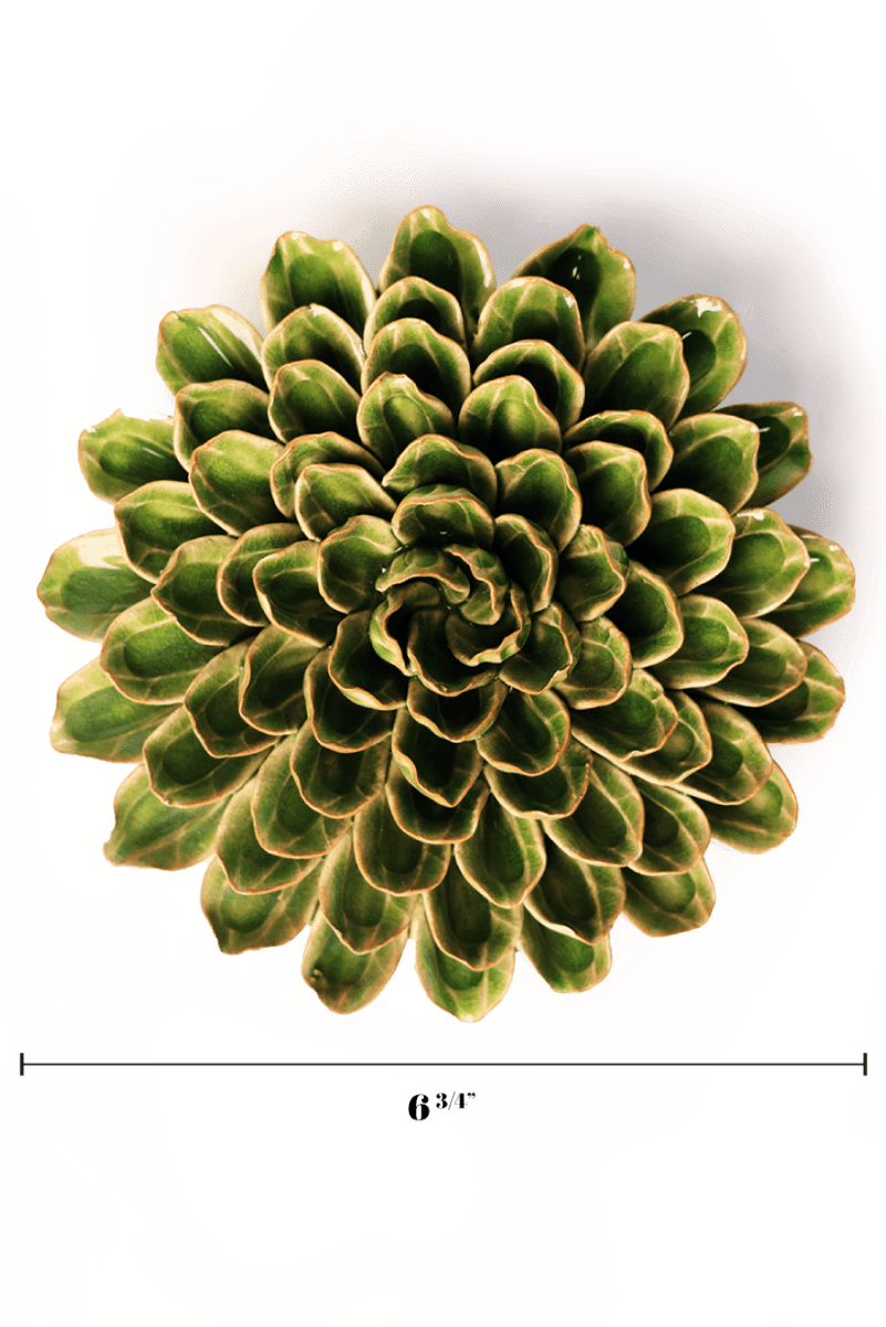 EG20 Avocado Green Unicorn Zinnia - Chive UK Wholesale