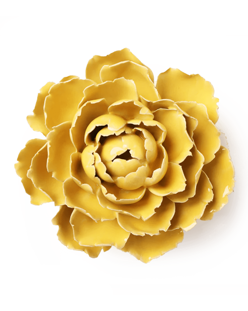 EG21 Buttercup Yellow Gay Paree Peony - Chive UK Wholesale