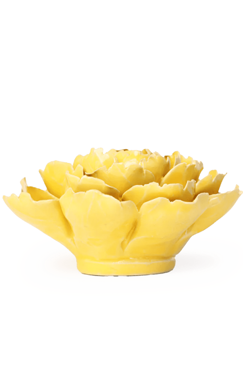 EG21 Buttercup Yellow Gay Paree Peony - Chive UK Wholesale