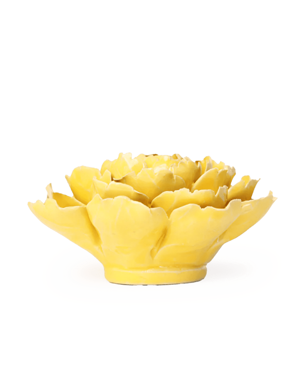 EG21 Buttercup Yellow Gay Paree Peony - Chive UK Wholesale