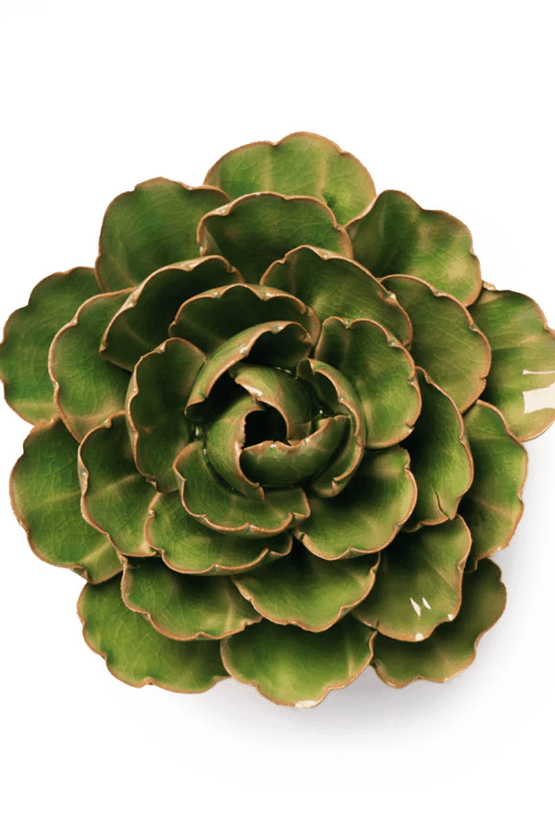 EG22 Avocado Green Keiko Peony - Chive UK Wholesale