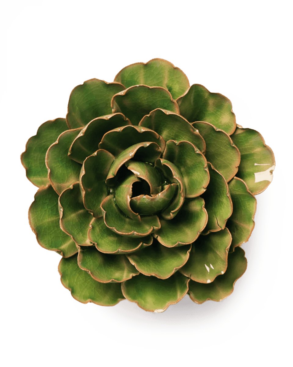 EG22 Avocado Green Keiko Peony - Chive UK Wholesale