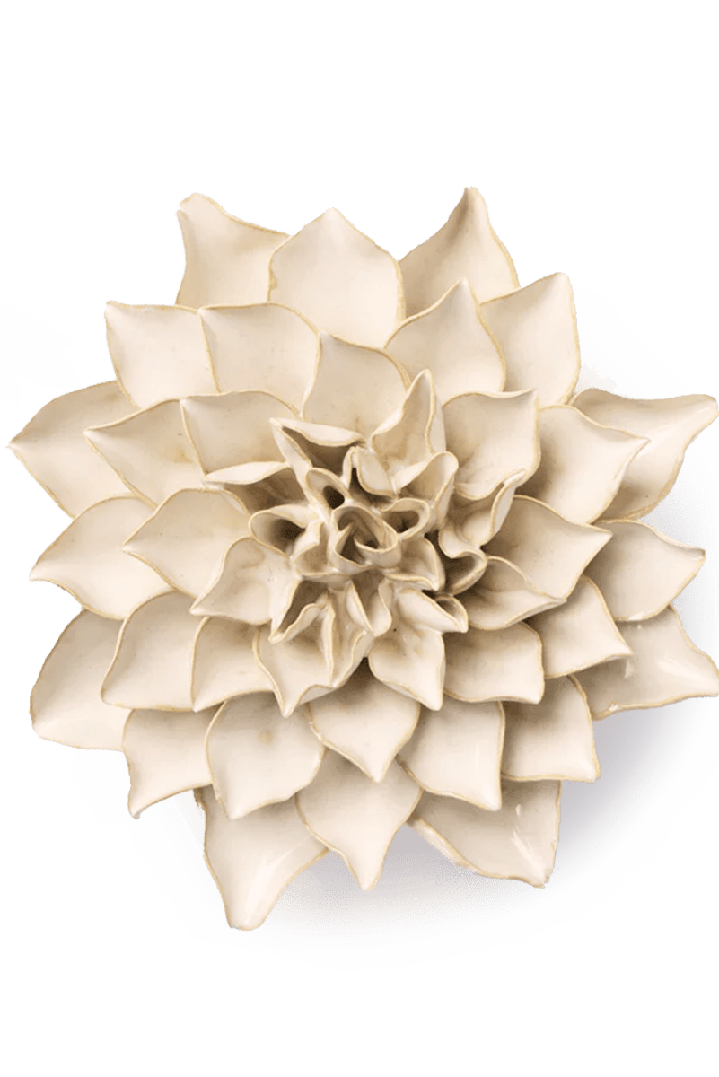 EG23 Ivory Autumn Azalea - Chive UK Wholesale