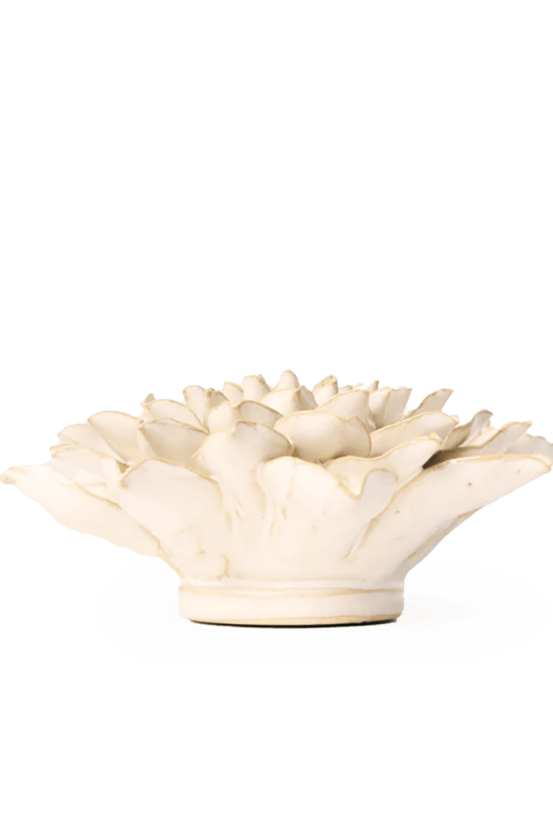 EG23 Ivory Autumn Azalea - Chive UK Wholesale