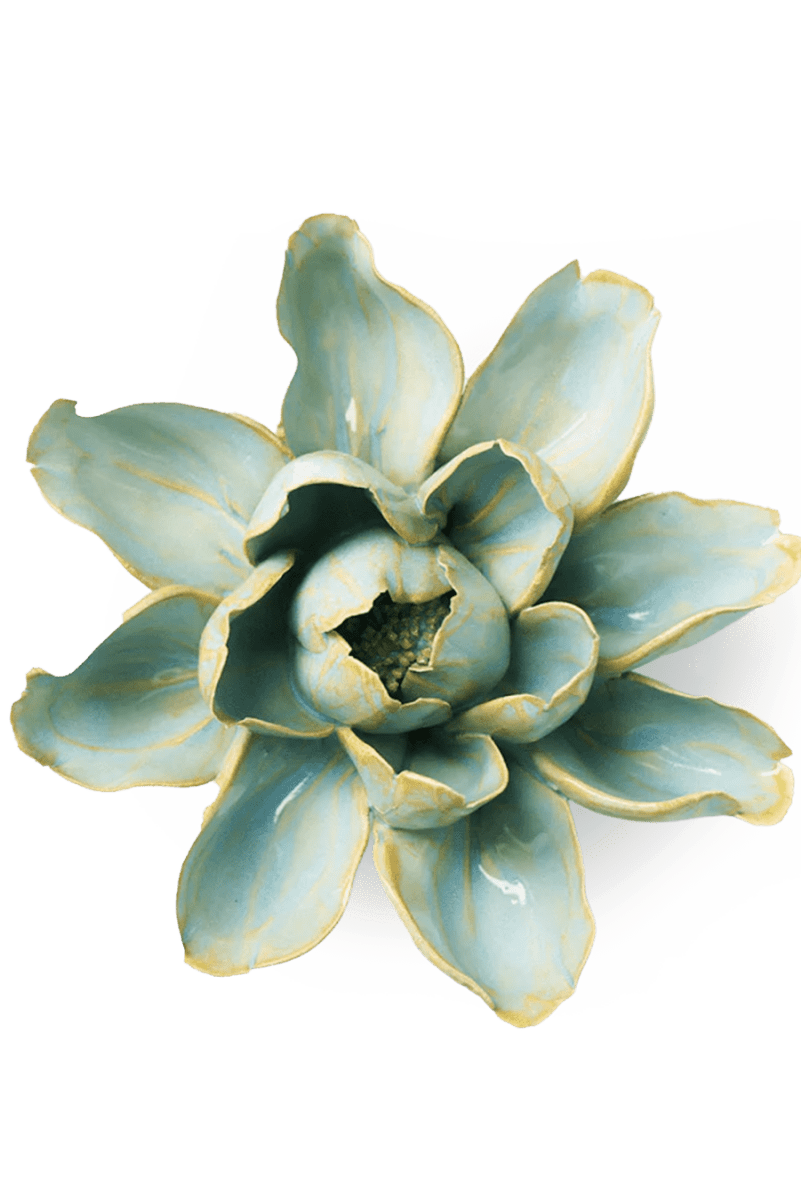 EG24 Robin's Egg Blue Aurora Water Lily - Chive UK Wholesale
