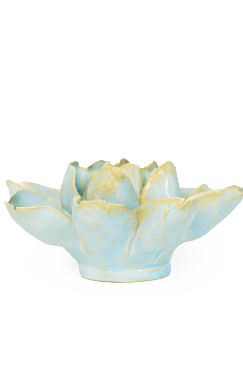 EG24 Robin's Egg Blue Aurora Water Lily - Chive UK Wholesale