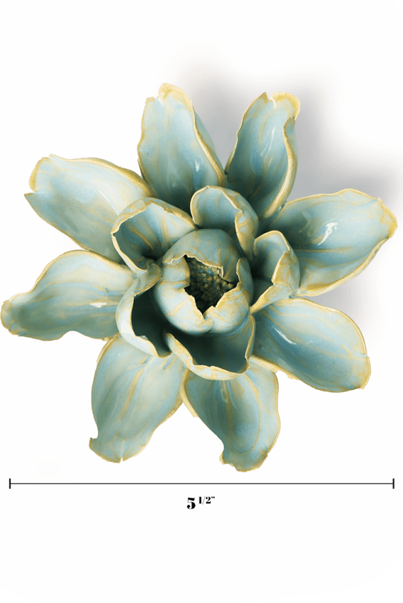 EG24 Robin's Egg Blue Aurora Water Lily - Chive UK Wholesale