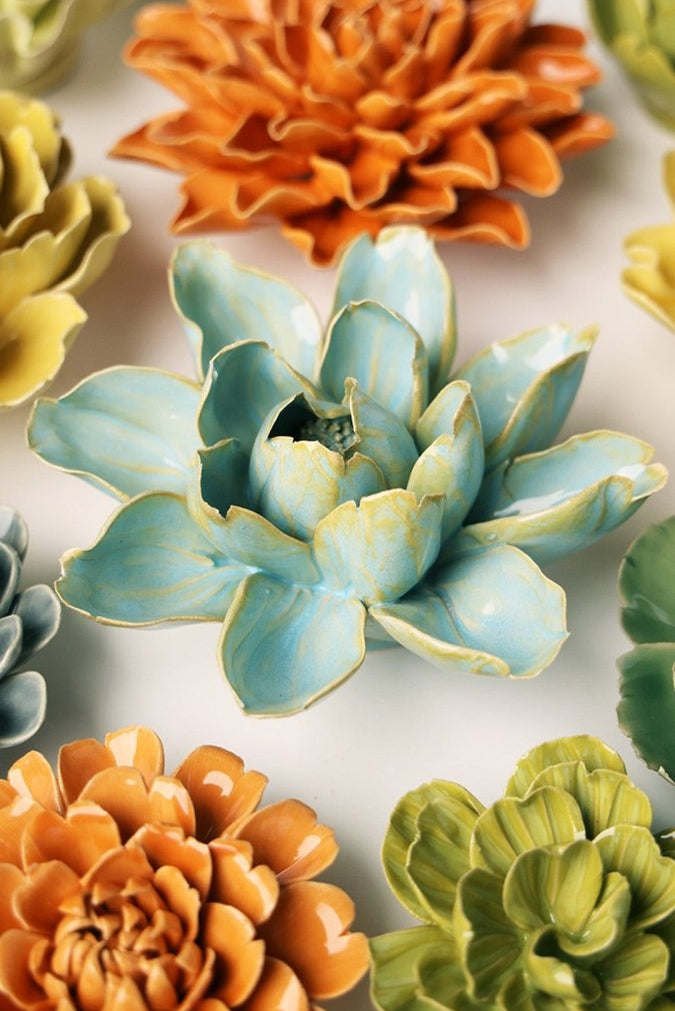 EG24 Robin's Egg Blue Aurora Water Lily - Chive UK Wholesale