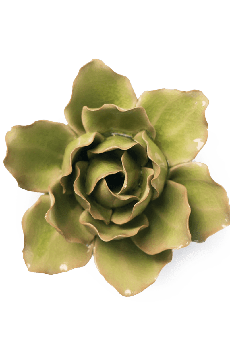 EG25 Peridot Stargazer Lily - Chive UK Wholesale
